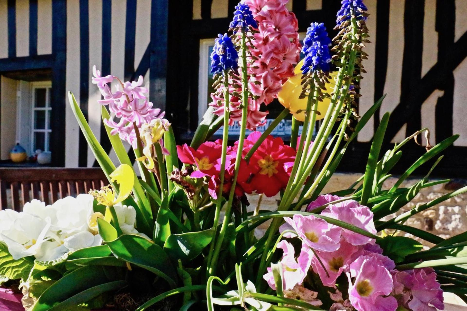La Longere Deauville Bonneville-sur-Touques Екстериор снимка